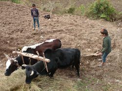 2 jours à Kashigaon