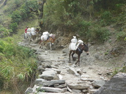 Trek Népal 2013